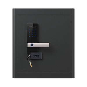 Home Safe with Fingerprint & LED (RPHS45)