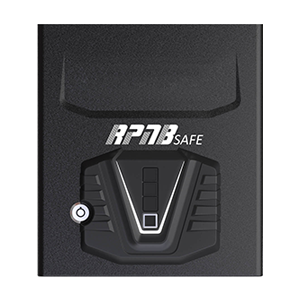 RPNB Multifunction Pistol Safe (RP2002)